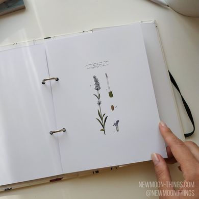Wise book "Botanical inspiration" на 2 кольца /art715-2
