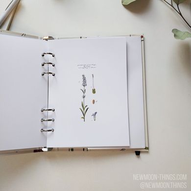 Wise book "Botanical inspiration" на 6 колец /art715-6